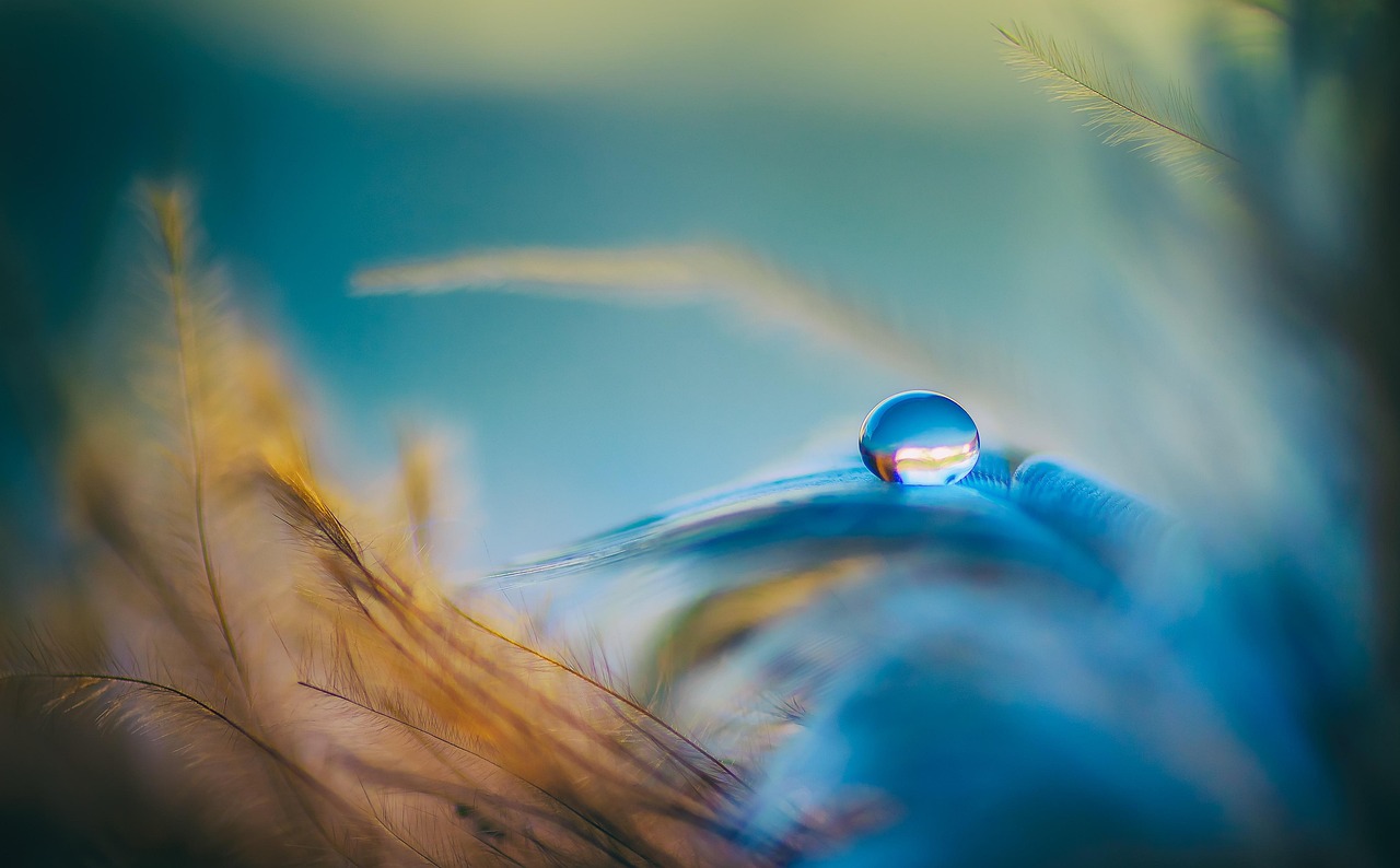 How do you balance innovation with profitability in established companies? explore the delicate balance between innovation and profitability to drive sustainable business growth and competitive advantage.